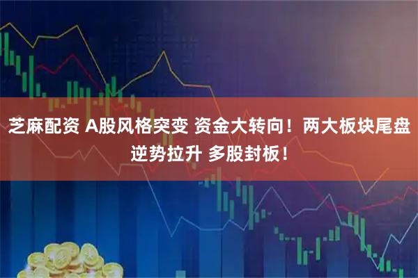 芝麻配资 A股风格突变 资金大转向！两大板块尾盘逆势拉升 多股封板！