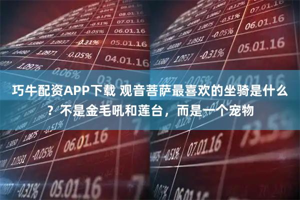 巧牛配资APP下载 观音菩萨最喜欢的坐骑是什么？不是金毛吼和莲台，而是一个宠物