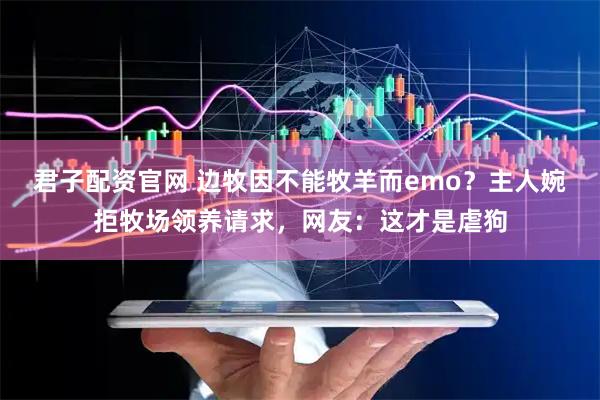 君子配资官网 边牧因不能牧羊而emo？主人婉拒牧场领养请求，网友：这才是虐狗