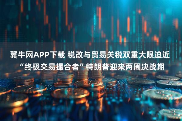 翼牛网APP下载 税改与贸易关税双重大限迫近 “终极交易撮合者”特朗普迎来两周决战期