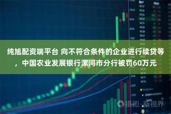 纯旭配资端平台 向不符合条件的企业进行续贷等，中国农业发展银行漯河市分行被罚60万元