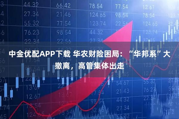 中金优配APP下载 华农财险困局:“华邦系”大撤离,高管集体出走